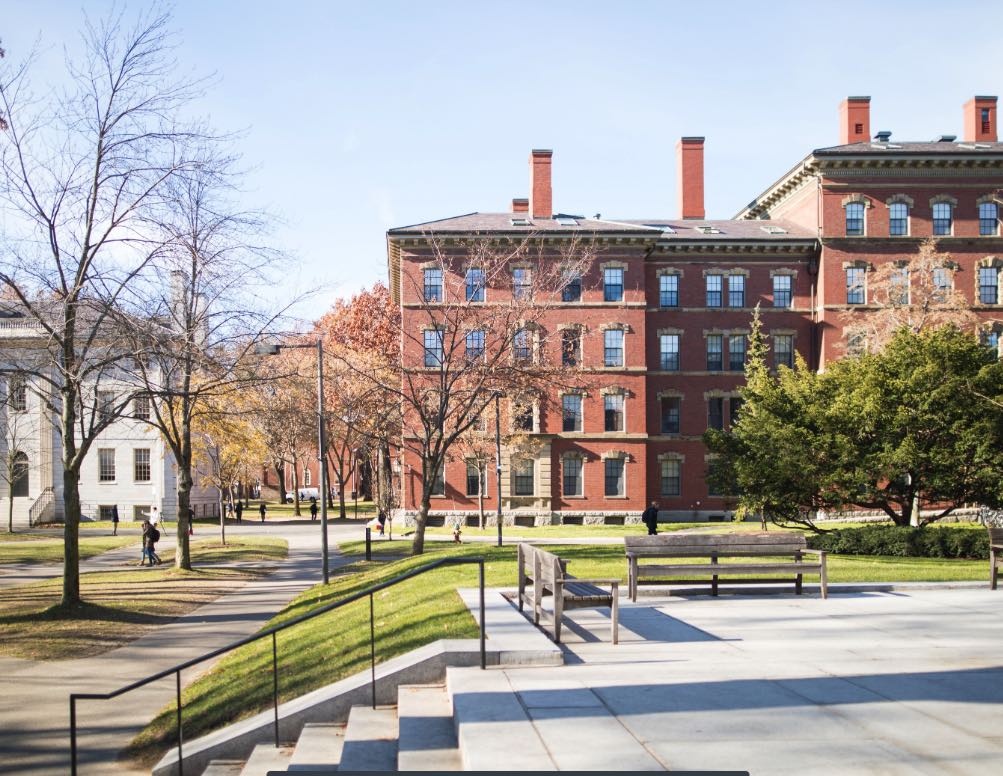 Summer Springboard in Boston