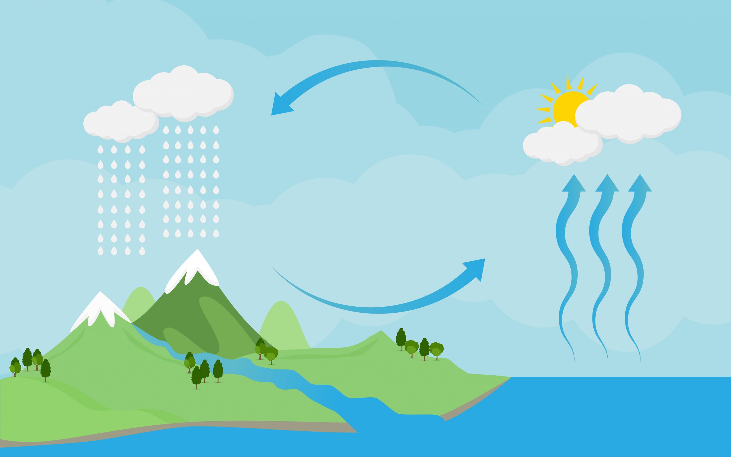 Clouds Are Cool! Water Cycle Fun & Craft
