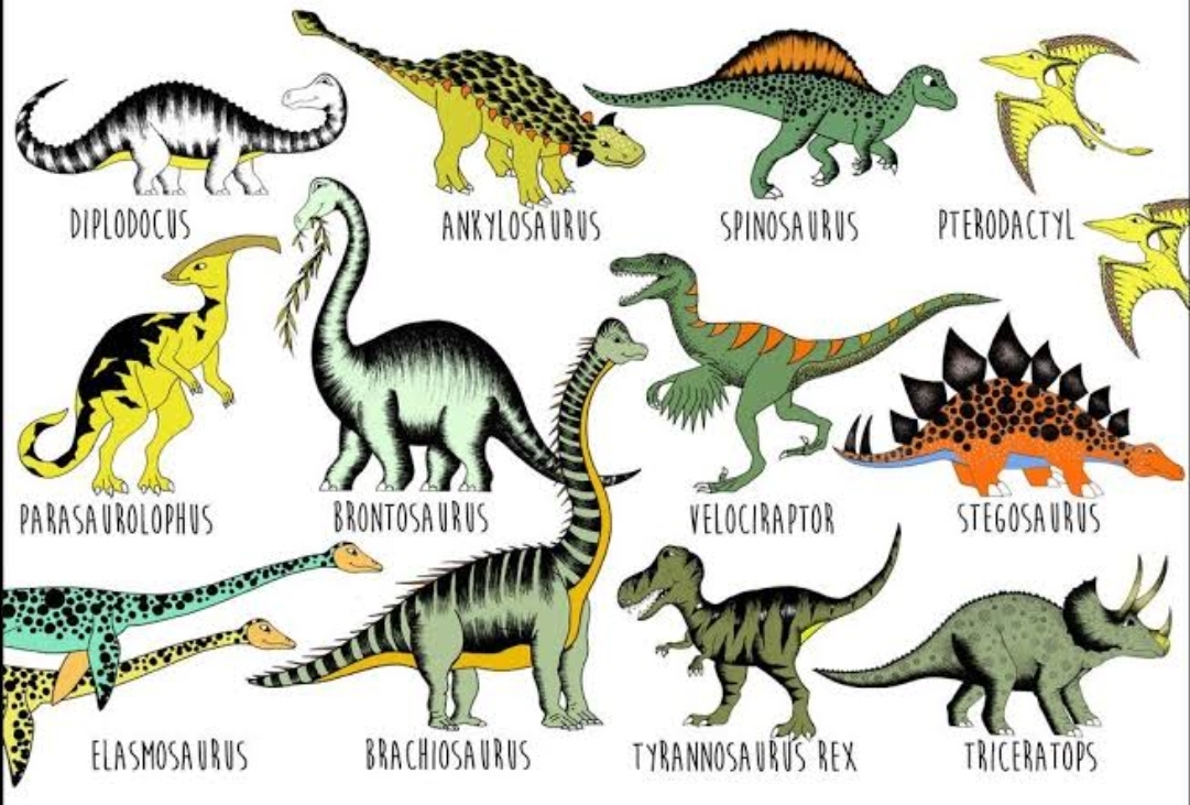 Little explorers - Dinosaurs