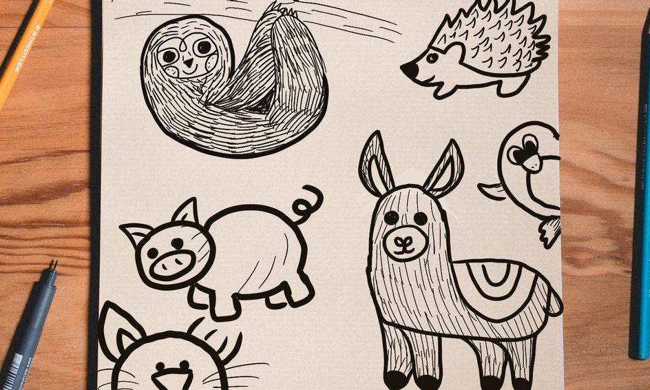 Drawing Animals Step by Step