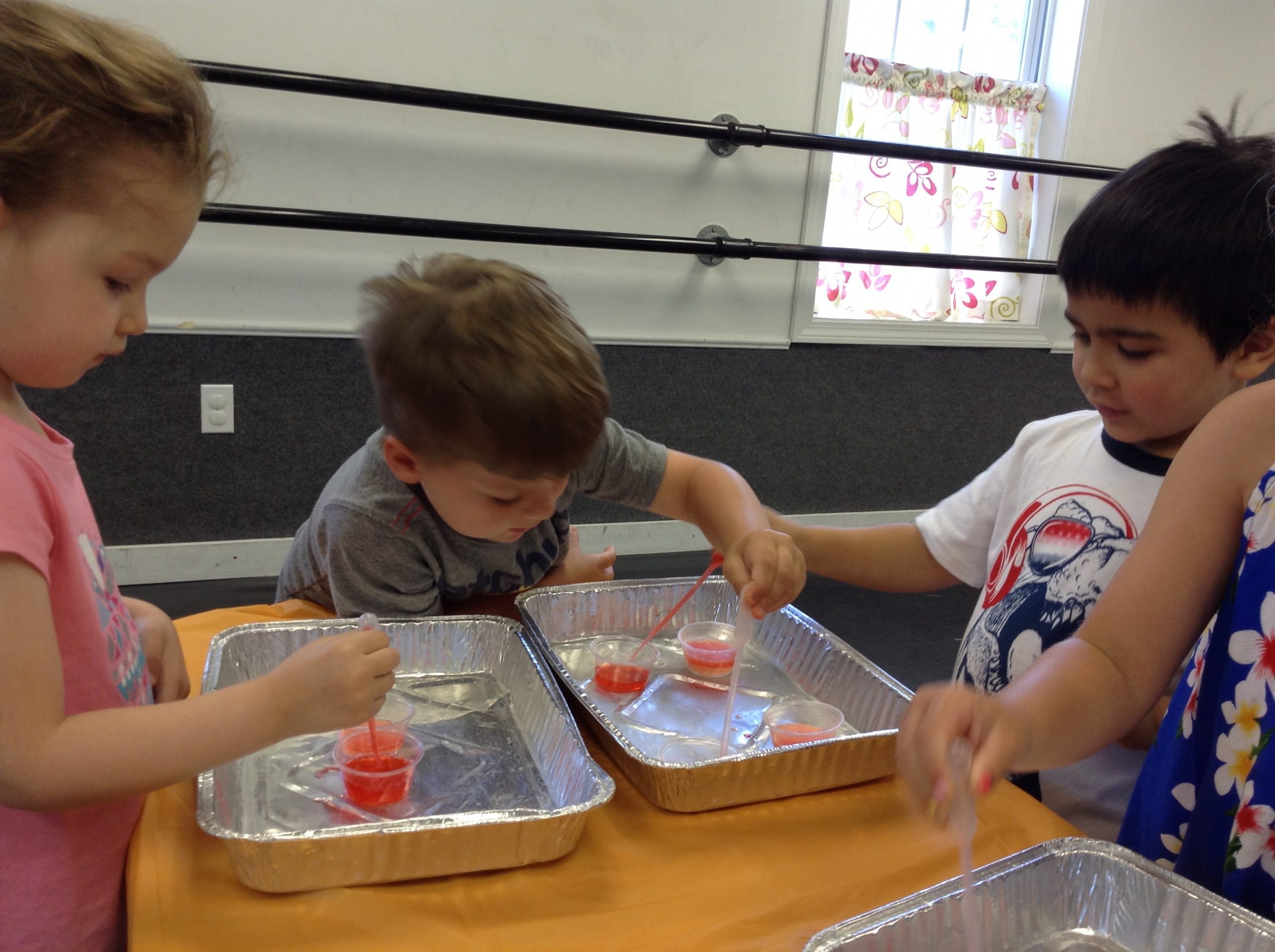 Summer Sizzling Science Mini- Camp