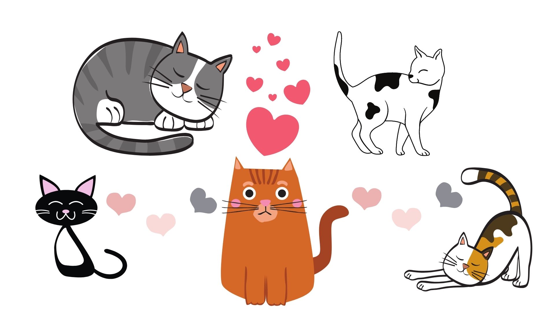 Explore Spanish! Gatos (Cats)