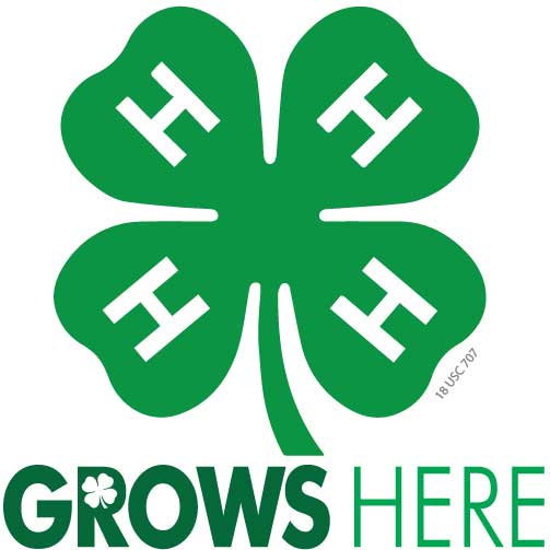 Eco Art Sowing Seeds of Change Program