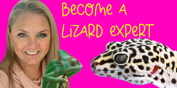 Become a Lizard Expert -Ages 4-6- (Featuring LIVE Leopard Geckos And Chameleon)