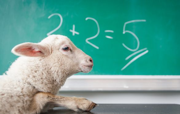 Addition and Subtraction: Math Review & Practice Games