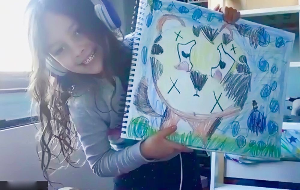 ONLINE PRIVATE ART LESSONS FOR KIDS OR TEENS
